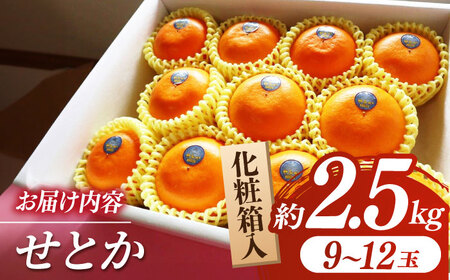 【2026年2月下旬から発送】せとか みかん 約2.5kg 果物 化粧箱入り フルーツ ギフト【小春農園】[ZBN002]