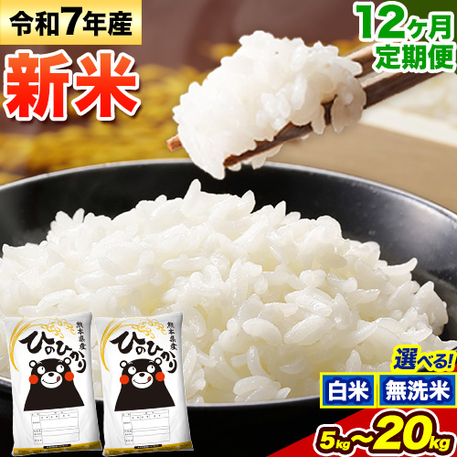 【12ヶ月定期便】新米 令和7年産 無洗米 も選べる ひのひかり 定期便あり 5kg 10kg 15kg 20kg 《申込み翌月から発送》熊本県産 ふるさと納税 無洗米 白米 精米 ひの 米 こめ ふるさとのうぜい ヒノヒカリ コメ お米
