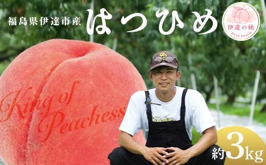 キングオブピーチ 桃 「はつひめ」約3kg（8～12玉）はつひめ 伊達の桃 桃 もも モモ 果物 くだもの フルーツ 国産 食品 F21C-134
