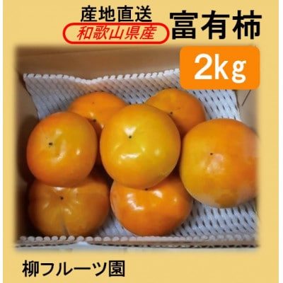 柿【先行受付】柳フルーツ園 富有柿 約2kg