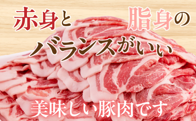 宮崎県産 豚肉 肩ロース スライス 2.4kg