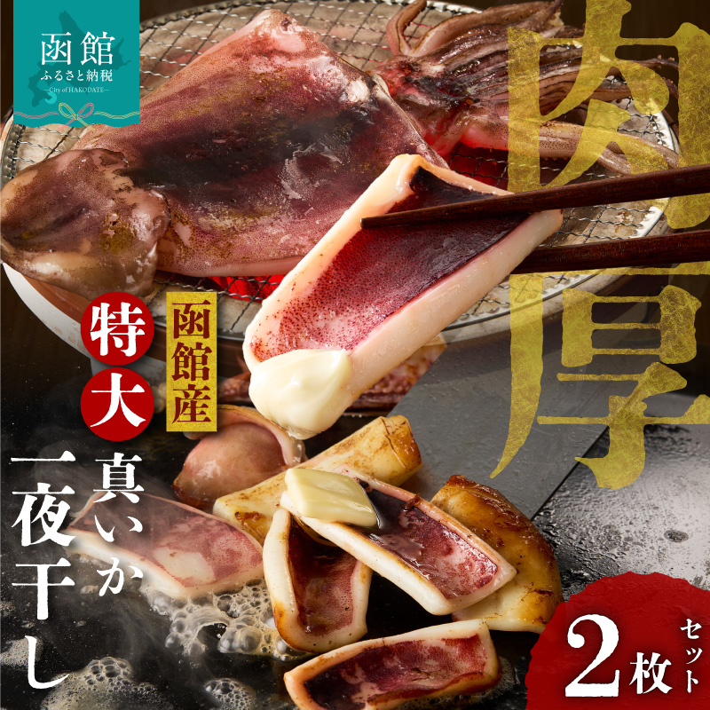 函館産 特大真いか 一夜干し 2枚セット_HD010-024