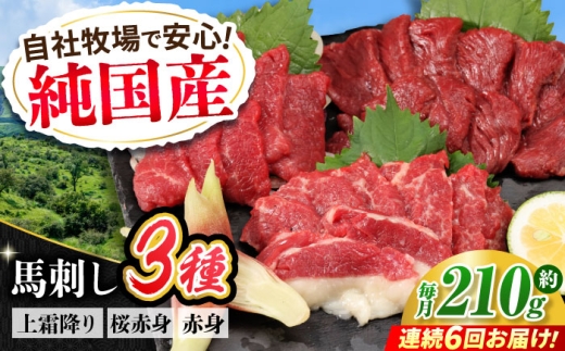 【全6回定期便】『純国産』熊本の味 馬刺し お試し 3種 セット 計約210g（2〜3人前）上霜降り 霜降り 赤身 馬さし 馬肉 おためし 熊本 合志 冷凍 定期【有限会社 九州食肉産業】 [AYCN071]