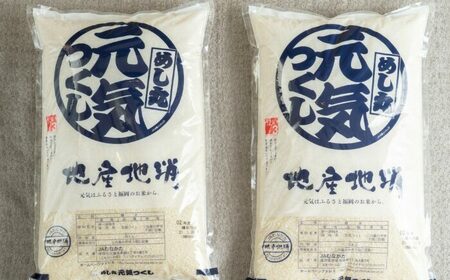 【令和7年産】果物屋さんが選んだ米 元気つくし 10kg [BGAG025]げんきつくし