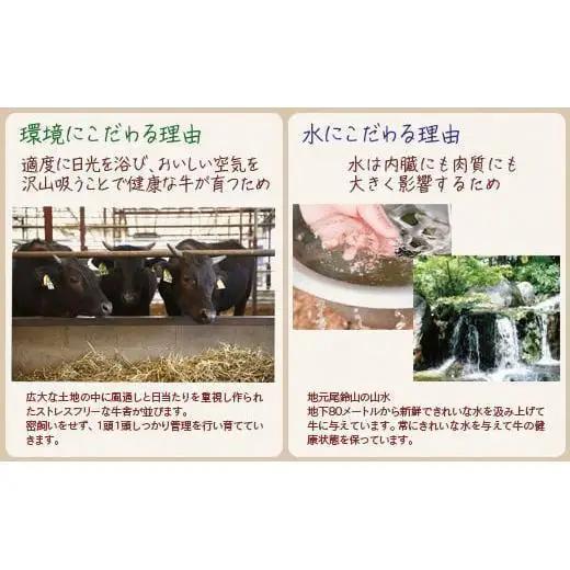 黒毛和牛 すき焼き用赤身スライス500g　モモ ウデ 牛肉 焼きしゃぶ 国産牛＜14-16a＞宮崎有田牧畜産業