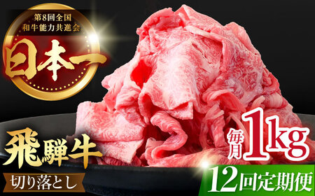  【12回定期便】【飛騨牛】切り落とし 総計12kg 〈1回あたり〉1kg (250g×4) [TDC016] 飛騨牛 切り落とし