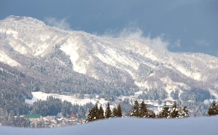 【12ヶ月定期便】【令和7年産】魚沼産コシヒカリ 「ひまわりの里」5kg (5kg×1袋) 新潟県 津南町 大阪屋商店