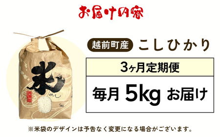 【新米・先行予約】定期便≪3ヶ月連続お届け≫ お米 こしひかり 5kg×3回（計15kg）（精米）令和6年 福井県産 炊きたての美味しさを追求したお米【2024年10月下旬以降順次発送開始！】【米 コ