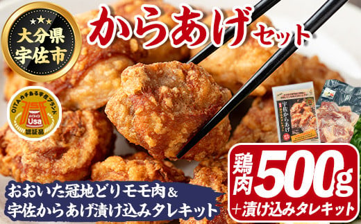 
宇佐からあげ セットTHE USA Box/DX(鶏もも肉500g、宇佐からあげ漬け込みタレキット1P)鶏肉 鳥肉 唐揚げ おおいた冠地どり 地鶏 ブランド鶏【114003600】【一般社団法人　地域商社USA】
