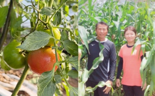 A322 アッキーファームの旬の野菜詰合せ福袋 （野菜3種） 