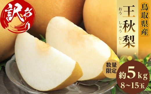 訳あり 数量限定 鳥取県産”王秋梨（おうしゅうなし）” 約5kg （7～15玉）≪2025年11月中旬以降出荷≫【梨 フルーツ 果物 くだもの 訳アリ 旬 国産 新鮮 人気 おすすめ 鳥取県 琴浦町 送料無料】