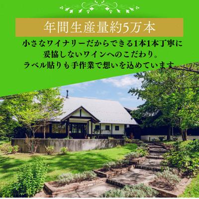 ふるさと納税 雲南市 シャルドネ(白ワイン 辛口)3種セット 750ml×3本 飲み比べ |  | 03