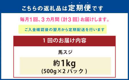 【3ヶ月定期便】 馬スジ 1kg （500g×2パック） 計3kg 馬肉 馬 お肉 肉 おかず 冷凍