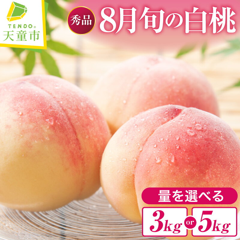 【ふるさと納税】 もも ( 8月 旬 の 白桃 ) 選べる 3kg / 5kg 品種おまかせ 秀 先行予約 令和8年産 2026年産 桃 ピーチ peach フルーツ 果物 くだもの デザート 夏 旬 ご家庭用 のし 贈答 ギフト プレゼント お取り寄せグルメ 山形 産地直送 送料無料 【 山形県 天童市 】