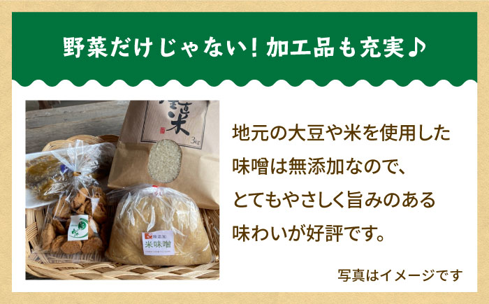 【全6回定期便】【隔月発送】新鮮野菜・加工品 おまかせ詰め合わせ【だいちの家】 [HAG017]