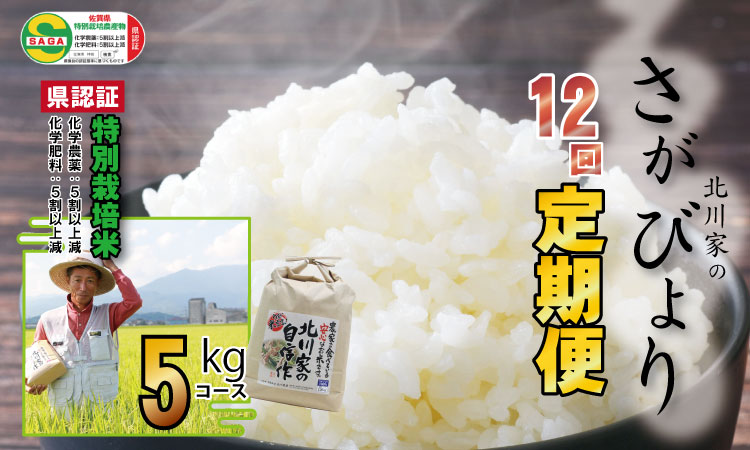 【定期便】(12ヶ月連続お届け) 佐賀県認定 特別栽培米 さがびより（5kg×12回）北川農産 農家直送 食味ランキング 佐賀県産 一等米 精米 白米 ブランド米 お米 白飯 人気 ランキング 高評価