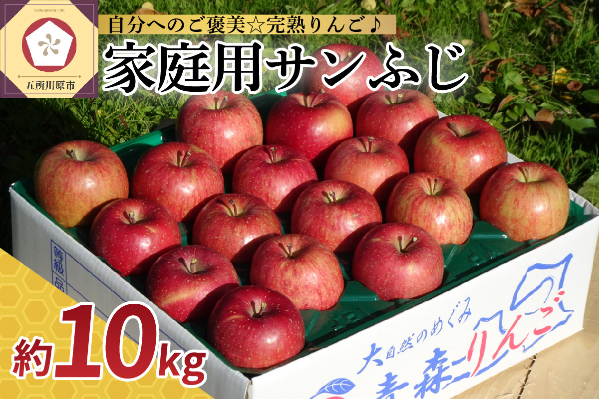 
【ふるさとチョイス限定】【選べる配送時期】 12月 1月 りんご 【家庭用】 サンふじ 10kg 青森
