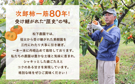 次郎柿 6.5kg 豊橋 甘 柿