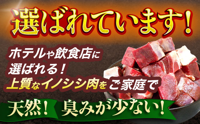 ジビエ 天然イノシシ肉 角切り肉 600g（カレー・シチュー）【照本食肉加工所】 [OAJ013] / 肉 猪 猪肉 イノシシ イノシシ肉 いのしし しし肉 しし鍋 ボタン鍋 ジビエ