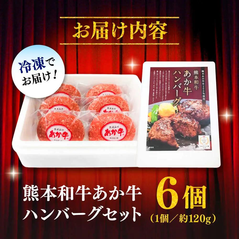ハンバーグ  約120g×6 ハンバーグ BHAS001