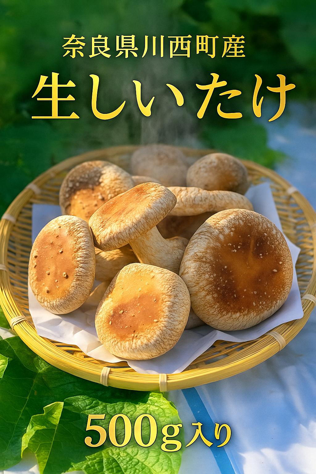 
            奈良県川西町産「生しいたけ」　肉厚で足太の生しいたけ500グラム入り　
生しいたけ／生椎茸／生シイタケ／肉厚／国産／安心／菌床／産直／産地直送／新鮮／採れたて／奈良県産／健康／ヘルシー／きのこ／キノコ／料理／鍋／焼き／無農薬／ギフト／美味／旨味／野菜／料理／食品／贅沢
          