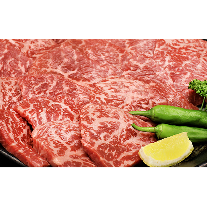 ふるさと納税　飛騨牛 もも肉 赤身 焼肉 500g A5 和牛 牛肉 お肉 モモ モモ肉 焼肉用 バーベキュー BBQ_イメージ2