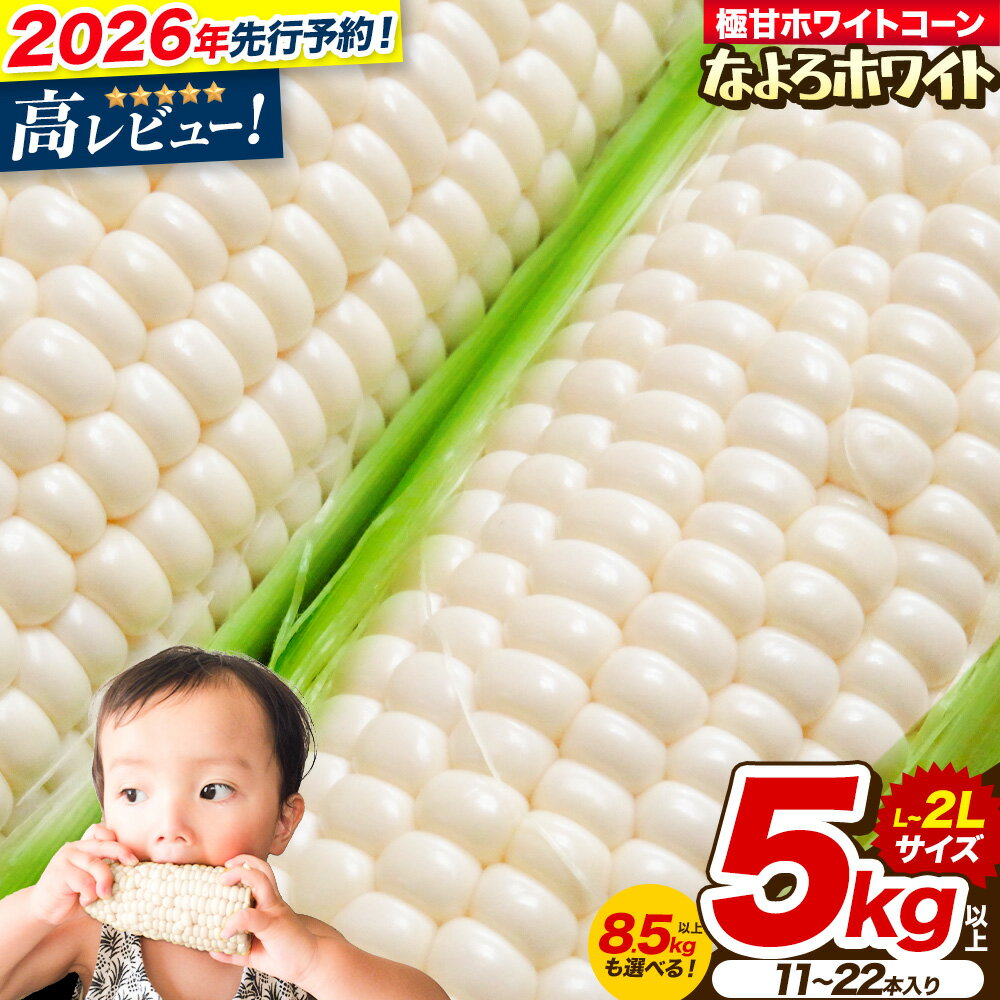 【ふるさと納税】とうもろこし ホワイトコーン 「 なよろホワイト 」 5kg 以上 11～13本 8.5kg 以上 20～22本 【2026年8月上旬-9月中旬頃出荷】 特大 サイズ北海道 朝採り なよろホワイト　名寄ホワイト　真空予冷 冷蔵 高糖度 ピュアホワイト トウモロコシ お中元 コーン