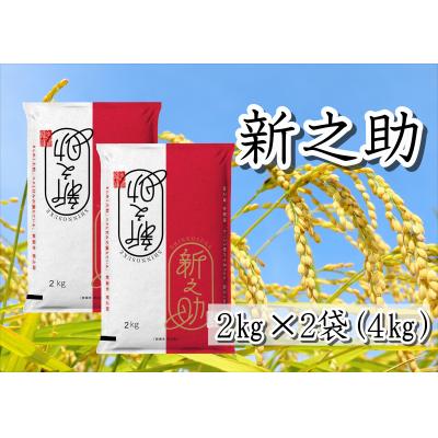 ふるさと納税 阿賀野市 【令和7年産新米】新潟県産 新之助4kg 白米 精米 井上米穀店
