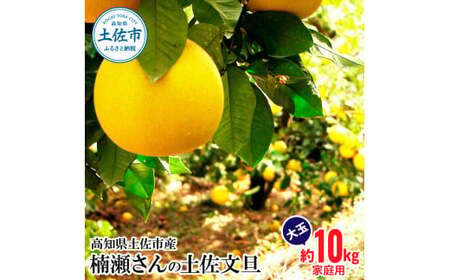 【先行予約】楠瀬さんの土佐文旦 家庭用大玉 約10kg 約10キロ 2L?4L〈2027年2月15日?2027年4月5日発送〉 ぶんたん ブンタン フルーツ 柑橘 みかん 果物 くだもの 柑橘類 デザ