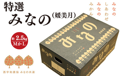 
            ＜2025年11月以降発送＞みなの共選の特選「みなの(旧:媛美月)」約2.5kg＜C28-36＞【1334191】
          