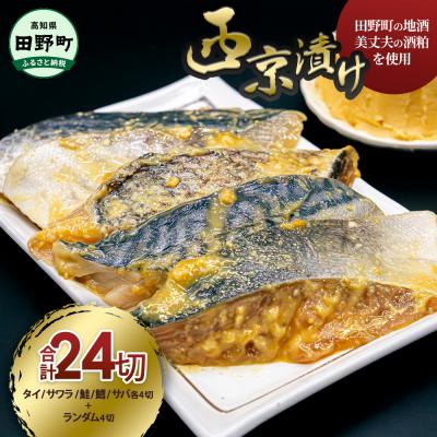 ふるさと納税 田野町 【四国一小さなまちの地酒・美丈夫酒粕使用】魚屋の西京漬け5種各4P+ランダム4P　計24P★骨なし★