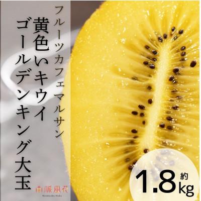 ふるさと納税 南アルプス市 《2026年発送分先行予約》フルーツカフェマルサン　黄色いキウイ　ゴールデンキング　大玉約1.8k