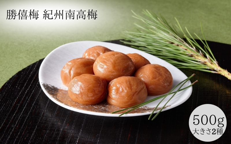 紀州南高梅　はちみつ仕立て1kg（500g×大きさ2種）　塩分8%【shokibai003A】