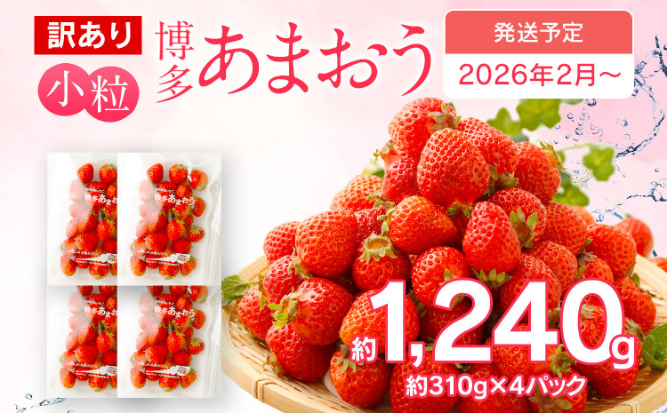 
            訳あり 小粒あまおう 合計約1240g 約310g×4パック 一口サイズ ご家庭用 福岡県産 九州 イチゴ いちご 苺 果物 くだもの フルーツ 送料無料 ふるさと納税 訳あり 規格外 いちご【2026年2月より順次発送】
          