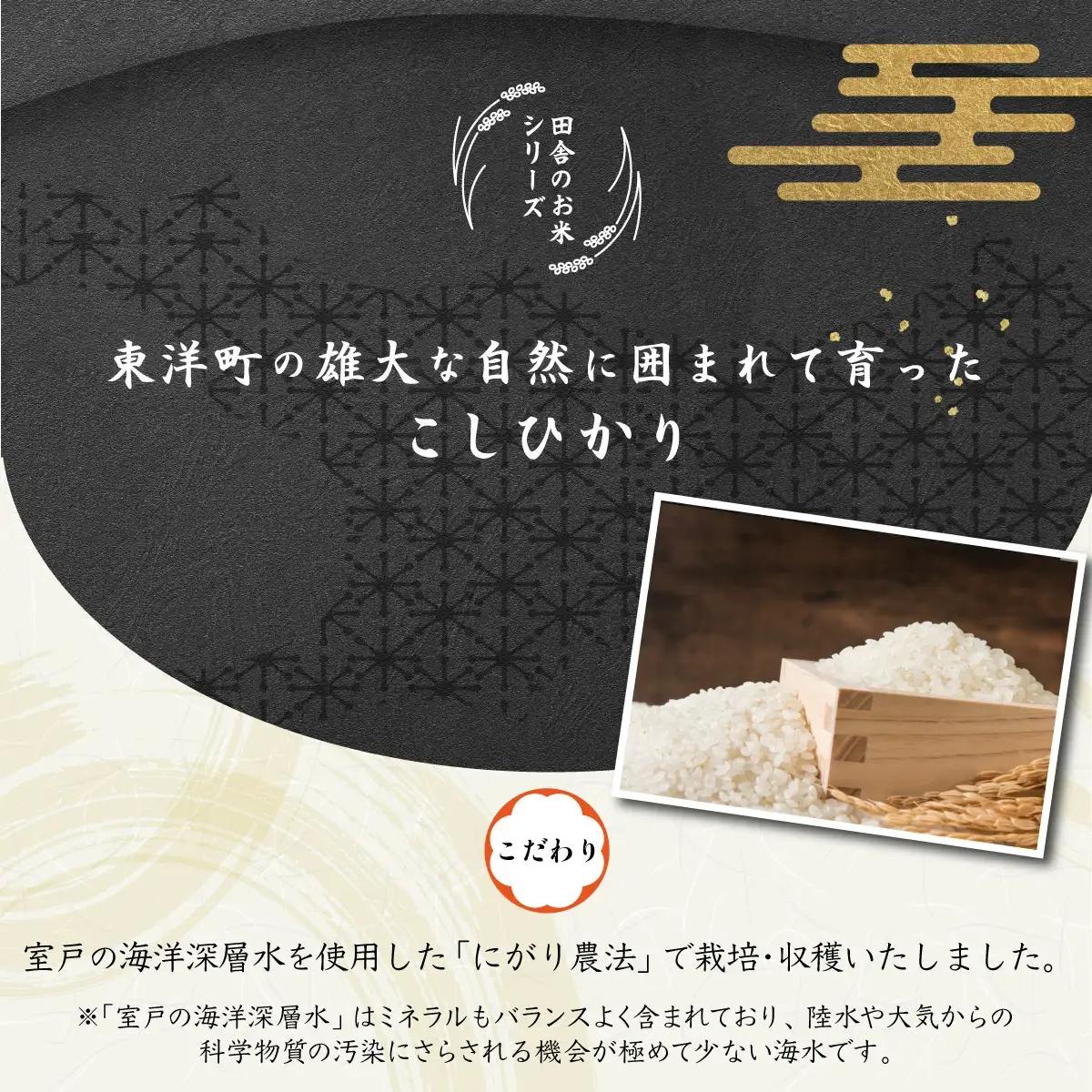 ＜2026年8月発送＞令和8年産コシヒカリ 20kg【S248】