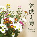 【ふるさと納税】 福岡県 赤村 スプレー菊　花束 （ 20〜30本 ） Q1