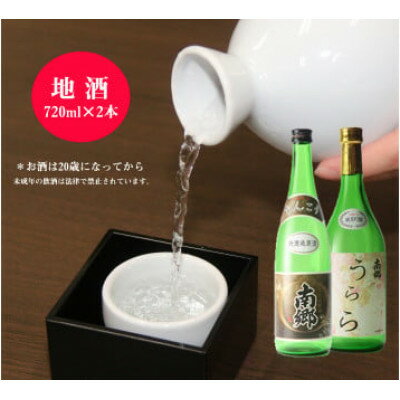 【ふるさと納税】「矢澤酒造」の地酒2本(各720ml)+おつまみセットC【1648182】