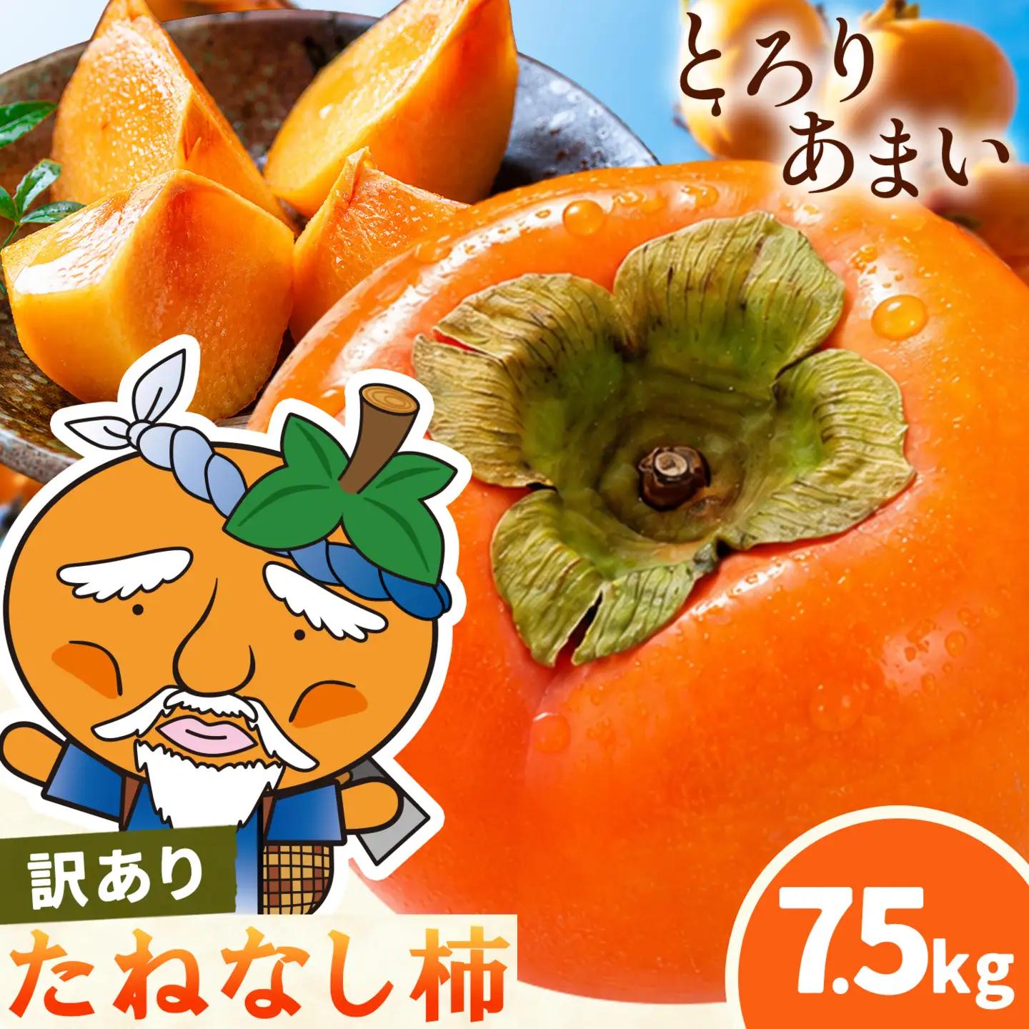  訳あり たねなし柿 7.5kg