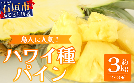 《2026年7月上旬頃より順次発送》【予約受付】石垣島産 ハワイ種パイン 2〜3個セット 約3?【 産地直送 石垣島産 石垣 完熟 パイン パイナップル 】TD-6