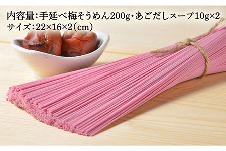手延べ 梅 そうめん 200g あごだし スープ 付 南島原市 / のうち製麺 [SAF013]
