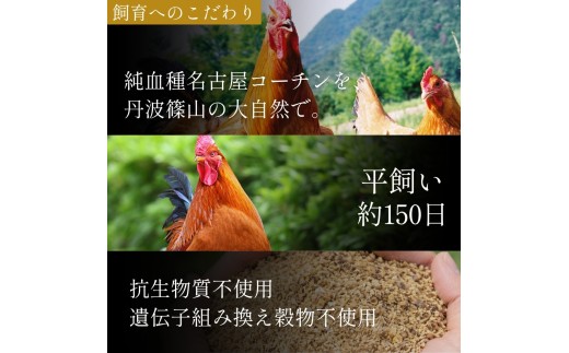名古屋コーチン 鶏たたき（もも肉2枚）【純血種 平飼い150日 安全飼料飼育】地鶏 選べる もも肉たたき たたき 兵庫県 丹波篠山市 鶏肉 タタキ とり肉 鳥肉 チキン 地鶏 グルメ 美味しい 鶏肉 