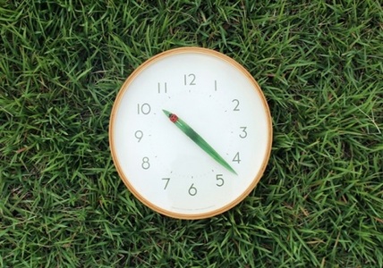 時計 壁掛け とまり木の時計 てんとう虫 SUR18-16 TENTO 壁掛け時計 掛け時計 Lemnos レムノス インテリア 民芸品 工芸品 工芸 伝統技術 春の新生活