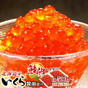 ”いくらのプロ”が造る北海道産 いくら醤油漬け＜250g×2パック入り＞×1箱)【 北海道 釧路町 】