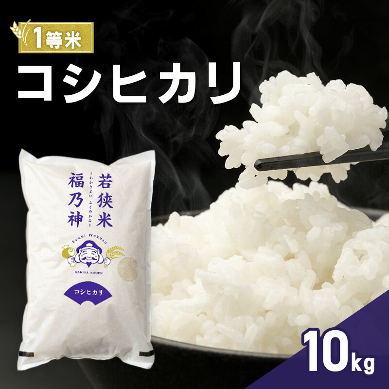 【ふるさと納税】令和7年産 コシヒカリ 10kg（一等米・神谷農園） 米 お米 こしひかり 若狭町　お届け：2026年4月上旬～7月中旬