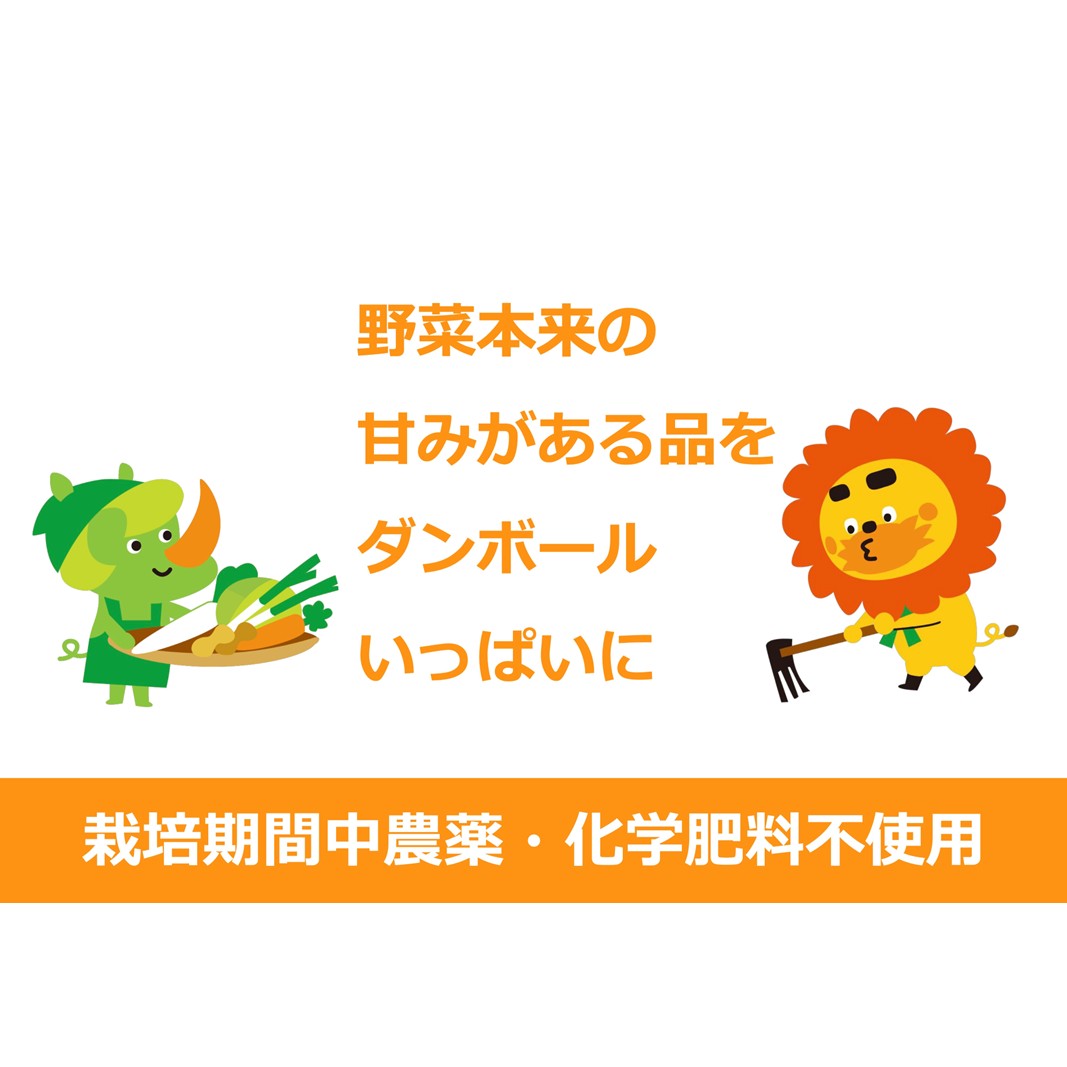【ふるさと納税】野菜 定期便 3ヶ月 1名様向け 野菜5種 セット 旬の野菜 生野菜 やさい 新鮮 鮮度 産地直送 詰め合わせ 冷蔵 千葉 定期 お楽しみ 3回