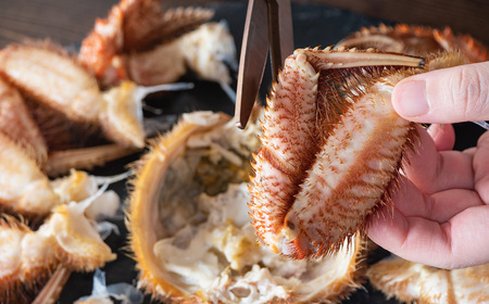訳あり 北海道産 毛ガニ ＜ 冷凍 ＞ ボイル 約 1kg （ 2～4尾 ） 毛蟹 毛がに かに カニ 蟹 かに味噌 カニ味噌 海鮮 海産物 わけあり 訳アリ