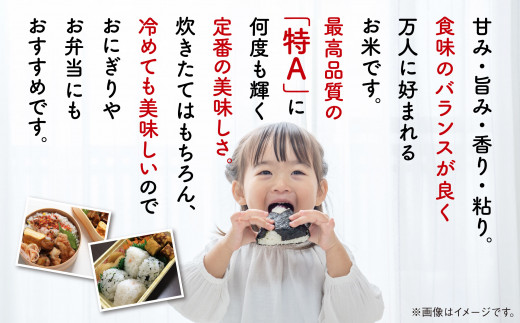 《 3ヶ月定期便 》 あきたこまち 10kg × 3ヶ月 令和7年産 精米 5kg × 2 袋 3回 3ヵ月 秋田県産 米 白米 定期 毎月 お米 コメ ごはん ご飯 ライス 小分け 旬 新鮮 グルメ