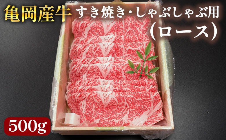 亀岡産牛 国産黒毛和牛 すき焼き・しゃぶしゃぶ用(ロース)500g 牛肉 冷凍 保存 薄切り 肉巻き 送料無料 京都 老舗 厳選 京都府産 人気 おすすめ グルメ 国産牛
