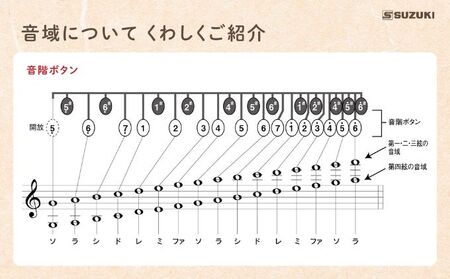 大正琴を弾いてみよう！大正琴とCD付き教則本 入門セット DVD 雑貨 日用品 