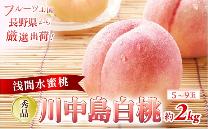 【2026年8月中旬～発送予定】 先行予約 「浅間水蜜桃プレミアム」 もも 川中島白桃 秀品 約2kg 5～9玉 贈答品 ふるさと納税 果物 フルーツ モモ 果肉 デザート 酸味少なめ 硬め 長野県産 小諸市